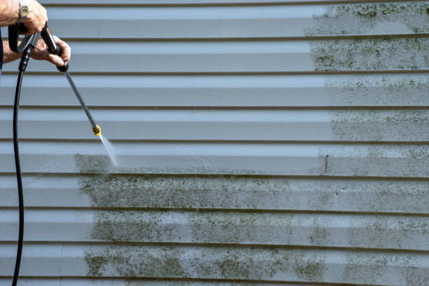 Best Basement Cleanout  in Grove City, OH