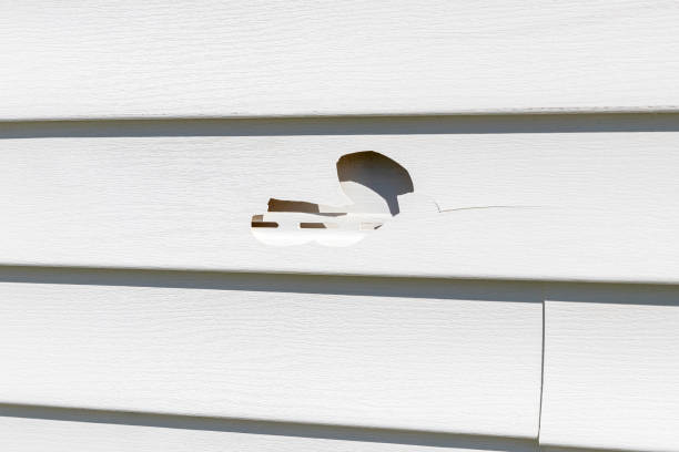 Best Hoarding Cleanup  in Grove City, OH